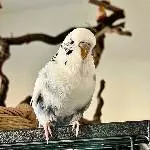 Hey ich bin Yuki