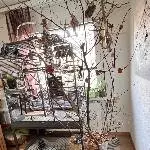 Osterbaum