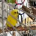 Sunny der neue Mann im Haus 
