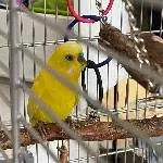Sunny der neue Mann im Haus 