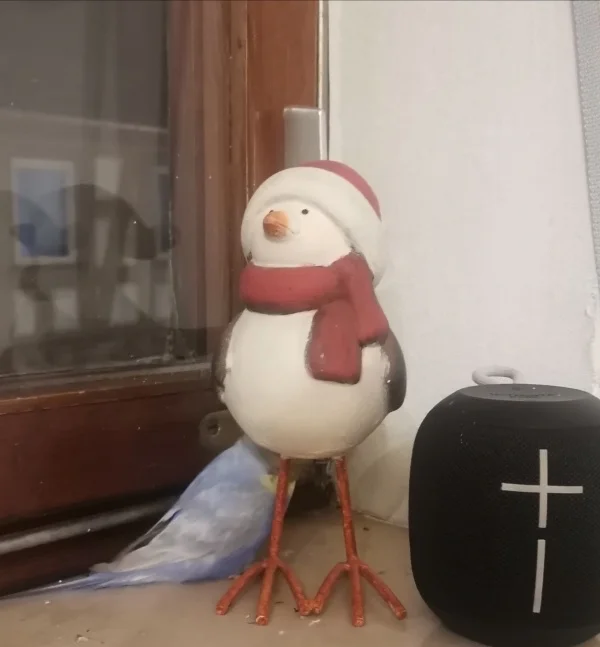 Wellensittich-Bild: Sie versteckt sich gern hinter dem Weihnachtsvogel (sie hat sich wirklich dahinter gesetzt, Gesicht versteckt und sich nicht bewegt und wir haben sie überall gesucht) 