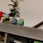 Im Schlafzimmer