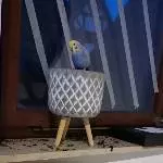 If waf? Waf kuckftn du fo? 