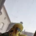 Ernsthafte Unterhaltung