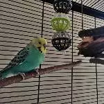 Tiefentspannt