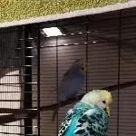 Rick entspannt