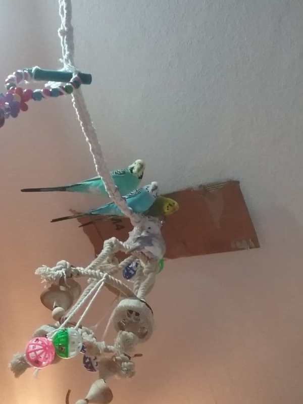 PHPSESSID