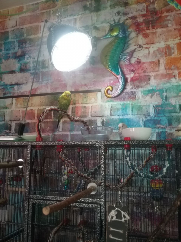 PHPSESSID