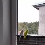 Sight seeing