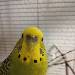 Prinzessin Poppie mit ihren Augenwimpern