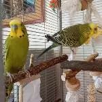 unsere Poppy und Emil 