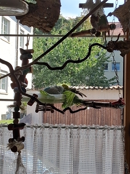 Beim Baden!