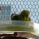 Hansy´s Badetag