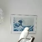 Bubi, ganz gechillt