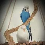 Alice mit ihrem Sohn Percy