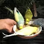 Sooo hungrig