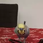 I´ve been watching you