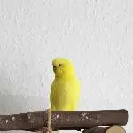 Mal gucken