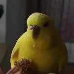 Juten Tach, ich bin die Molly