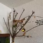 der umgestaltete Vogelbaum