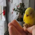 Hmmmm meine?