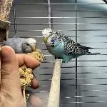 Snack Time