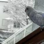 ich will da raus!!