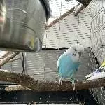 Hey! mach mein Foto