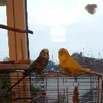 Mister Pitipuck und Pucky