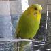Unsere Sunny