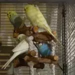 Familienbett