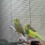 Wir sind die neuen