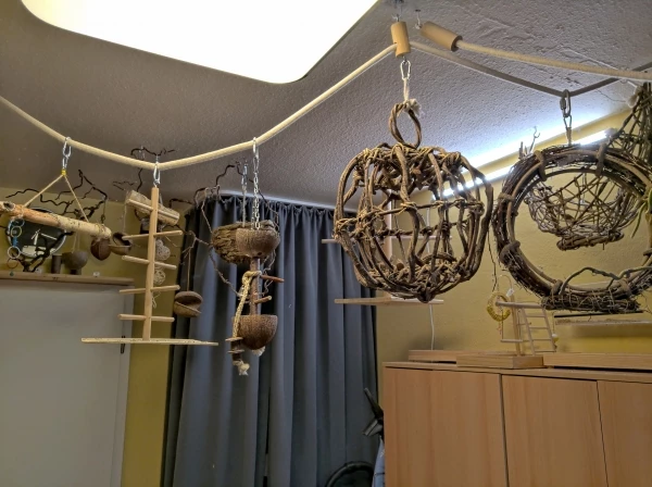 Wellensittich-Bild: und der letzte Teil des Zimmers.