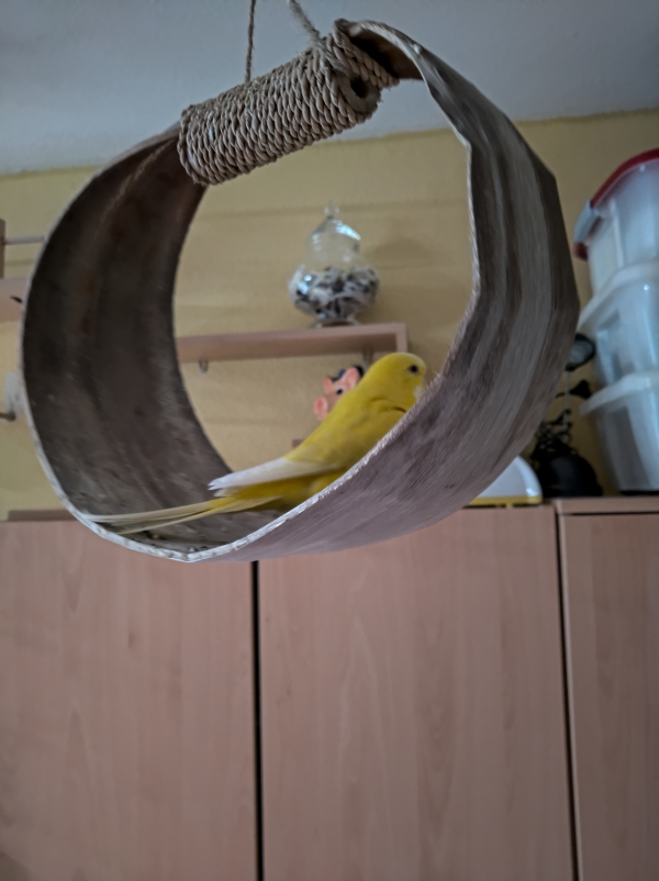Tweety