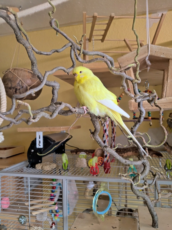 Sunny