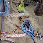 Lola und Vivi auf der Seilspirale