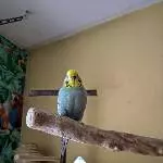 Unsere Paula