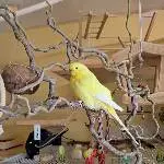 Unsere schöne Sunny