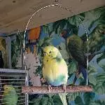 Lola unsere Diva