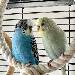 Jochen und Elke