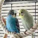 Jochen und Elke