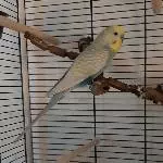 Das ist Momo