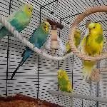 Meine Familie <3