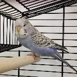 Mein Name ist Lila