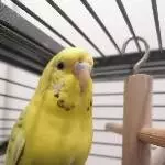 Naruto neben Blueberry 