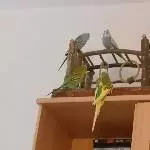 4 auf dem Spielplatz