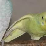 Joseph beim Yoga