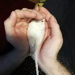 Geborgenheit