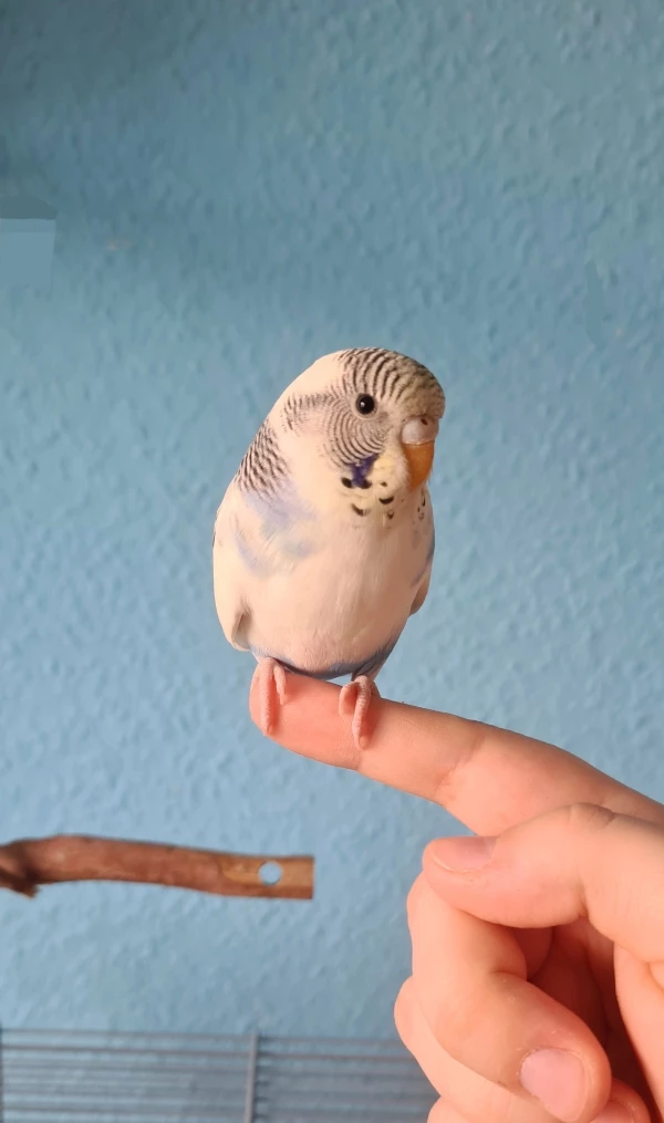 Kleiner Neuzugang ♥