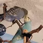Knutschi^^